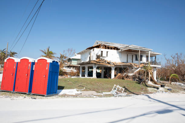 Best Lot and Land Clearing  in Elwood, IN